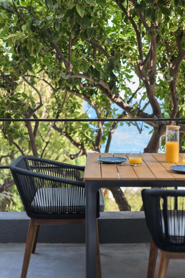 Saint-Antoine  Proche Monaco, Vue Mer, Acces Plage Et Jardin Privatif מראה חיצוני תמונה