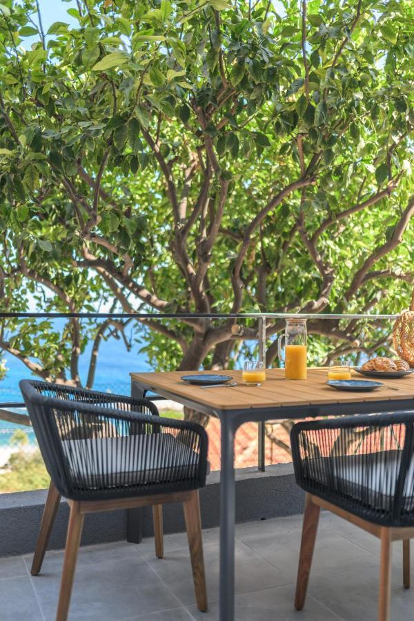 Saint-Antoine  Proche Monaco, Vue Mer, Acces Plage Et Jardin Privatif מראה חיצוני תמונה
